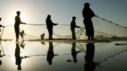 У побережья Швеции началась акция по сбору рыболовных сетей
