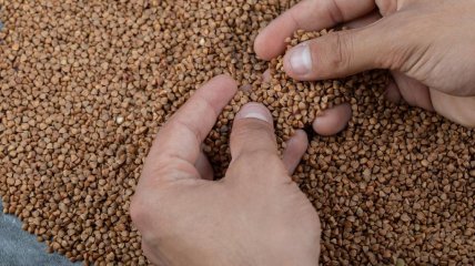 Эти советы вам понадобятся