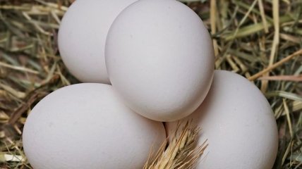 Почему нужно мыть куриные яйца перед едой?