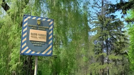 Парк "Нивки"