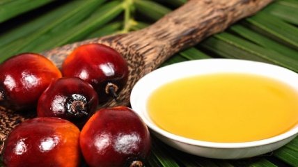 Найдена новая опасность пальмового масла
