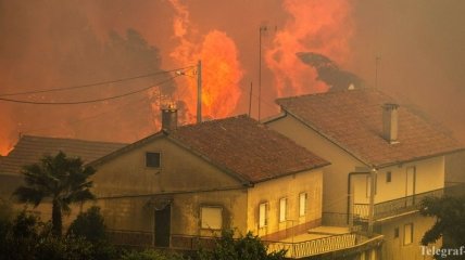 Португалия борется с пожаром: в смертельной ловушке погибли десятки людей