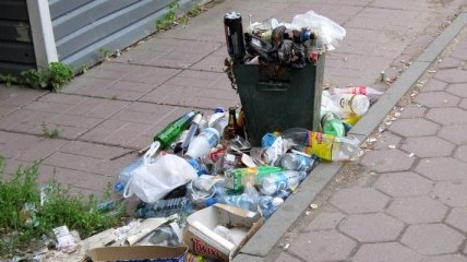 В Раду внесли законопроект о штрафах за разбрасывание мусора