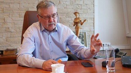 Партия Гриценко поддерживает роспуск Рады и досрочные выборы