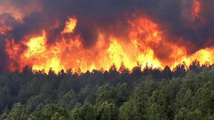 В Канаде эвакуируют сотни людей из-за лесного пожара