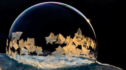 Удивительная красота: внутренний мир мыльного пузыря (Фото)
