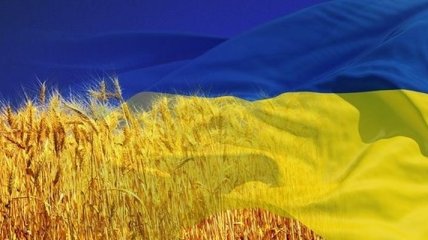 Баронин: После ЗСТ с ЕС меньше всего пострадают украинские аграрии