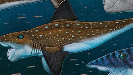 Палеонтологам удалось воссоздать облик необычной рыбы