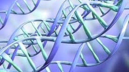 Чувство одиночества – у нас в генах