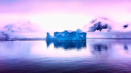 Исследование: нарастание льда в Антарктиде оставило треть от биомассы в море Уэдделла
