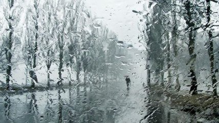 Прогноз погоды на 2 апреля: Украину ожидает похолодание и дождь 