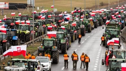 "Будем защищать свой бизнес": Зеленский прокомментировал ситуацию на границе Польши