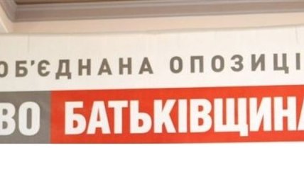 Луганская "Батькивщина" начала сбор подписей против фальсификаций