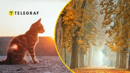 Посреди осени ожидается потепление