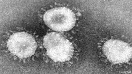 В ОАЭ зафиксировали 4 случая заболевания коронавирусом