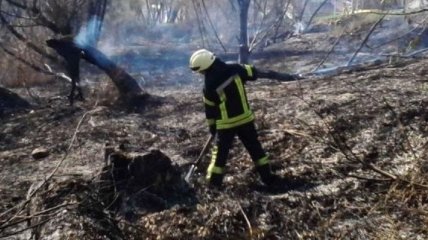 В Киеве горит сухая трава: потушили больше гектара