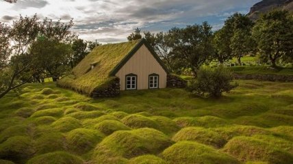 Скандинавские дома с зелеными крышами, которые выглядят, словно из сказки (Фото)