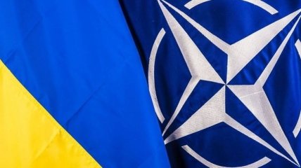 В США поддержали стремление Украины в НАТО, но есть одно "но"