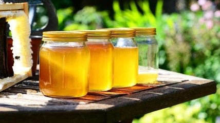 Користь і шкода меду для організму