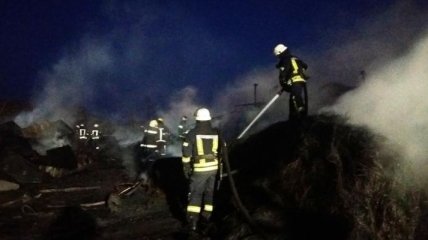 В Запорожье на одном из предприятий произошел пожар