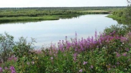 Снимки самых длинных рек на Земле (Фото)