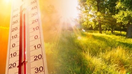 В Украине  жара до 36 градусов и духота: синоптики рассказали, когда удастся продохнуть