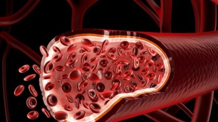 Состояние артерий напрямую связано с риском рака и болезнями почек