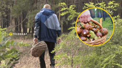 Начинается пора тихой охоты