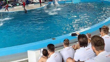 Участник ЧМ-2018 получил травму в дельфинарии