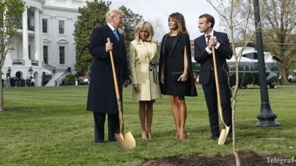 Макрон и Трамп посадили дуб возле Белого дома