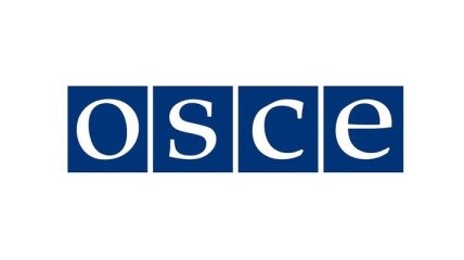 ОБСЕ отказалась от отправки миссии в Крым