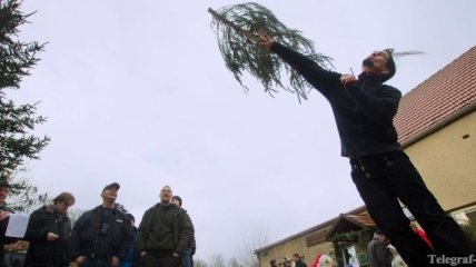 Пенсионер решился выбросить рождественскую елку
