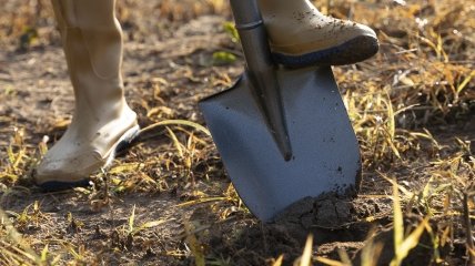 Відновіть ґрунт за допомогою корисного розчину