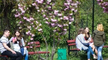 Парк Киото в Киеве могут включить в природно-заповедный фонд Украины