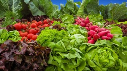 Эксперт прогнозирует подорожание овощей в Украине