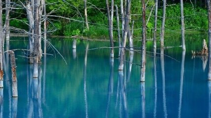 Потрясающий голубой пруд на острове Хоккайдо (Фото)