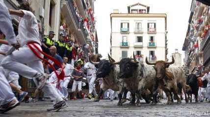 В Испании состоялся забег быков 