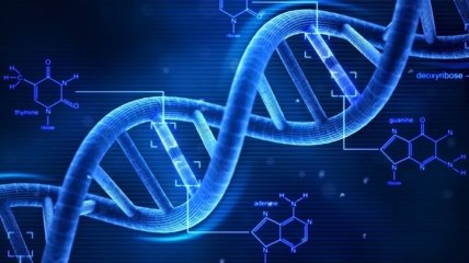 Компьютерный анализ ДНК поможет обнаружить редкие заболевания