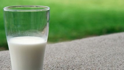 Украина сократила экспорт молока на 26%