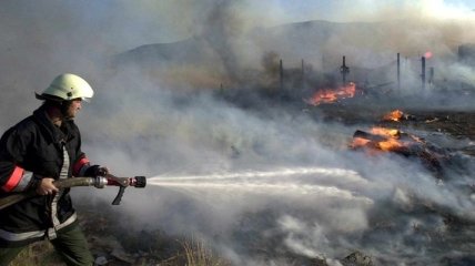 В Болгарии на границе с Турцией загорелся лес