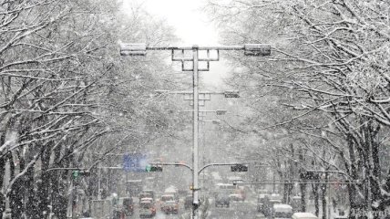 Сотни автомобилей заблокированы в Японии из- за снегопадов