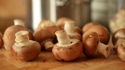 Развенчены мифы о пользе грибов при лечении рака