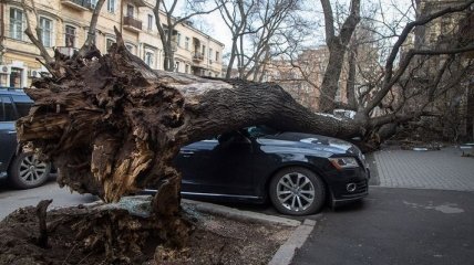 Сорванные крыши, поваленные деревья и один погибший: в Украине бушует ураган