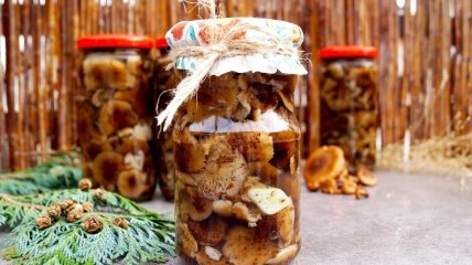 Як приготувати смачні мариновані гриби - рецепт заготівлі на зиму