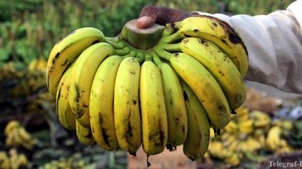 "Рапид" наказали за брошенный с трибун банан