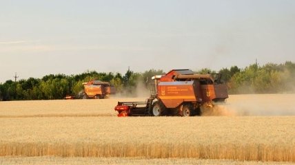 Янукович: нынешний урожай зерна войдет в тройку лучших за 20 лет