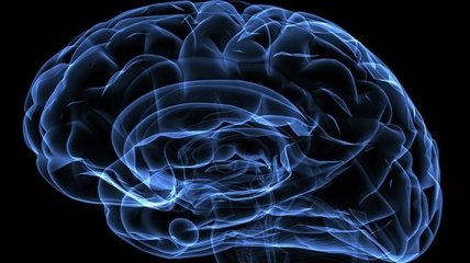 Найдена зона мозга, отвечающая за уникальность человеческого разума 