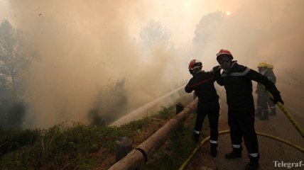 Черногория просит у ЕС помощи в борьбе с лесными пожарами