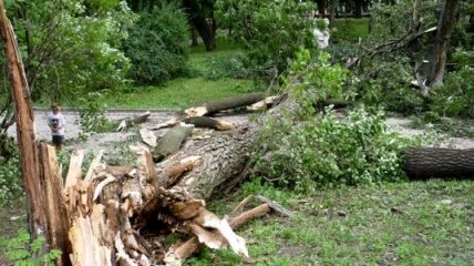 Ураган повалил деревья и затопил жилые дома в Крыму