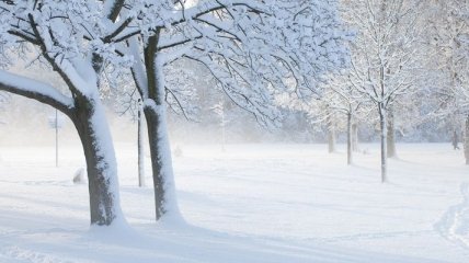 Прогноз погоды в Украине на 27 января: снежно и холодно